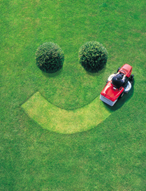 Lawn Care Services