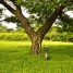 2 Situations Where You Really Should Call a Tree Care Expert