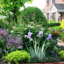 How Pest Control Can Help Your Garden Thrive
