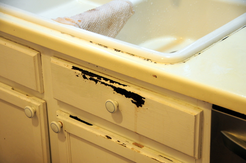Signs You Need to Replace Your Kitchen Cabinets