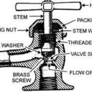 Hickory Faucet Repair Services: 3 Common Causes of a Leaky Faucet