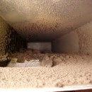 How Dirty Ducts Can Damage your Air Conditioning System (and your Health)