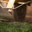 Stump Grinding Services vs. Stump Grinder Rental