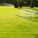 Show Your Lawn Some Love with a Professionally Installed Irrigation System
