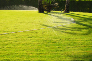180895187-irrigation system