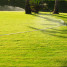 Show Your Lawn Some Love with a Professionally Installed Irrigation System