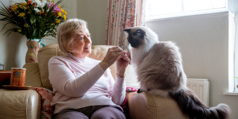 assisted-living-centers-often-accept-pets-discover-home-improvement