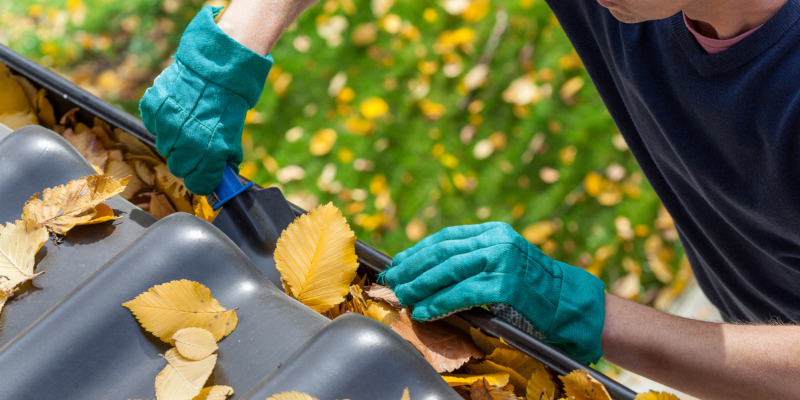 You want to regularly clean your gutters