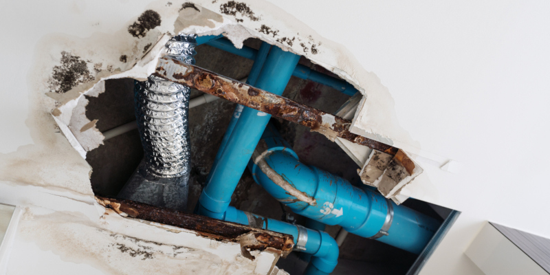 we recommend hiring a plumber for professional leak detection services