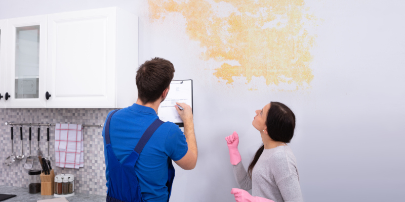 When looking for water damage restoration professionals 