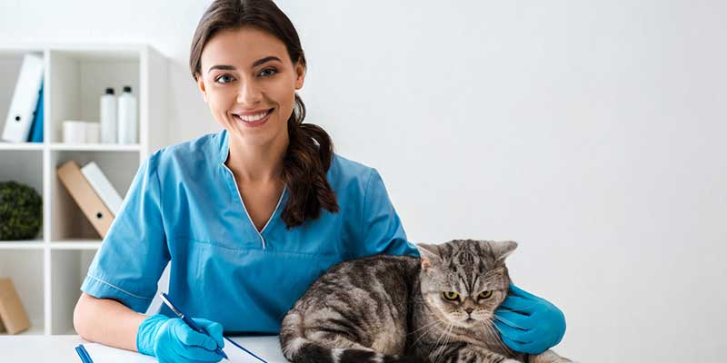 New Veterinary Clinic Setup: Learn What Goes into Opening a Practice