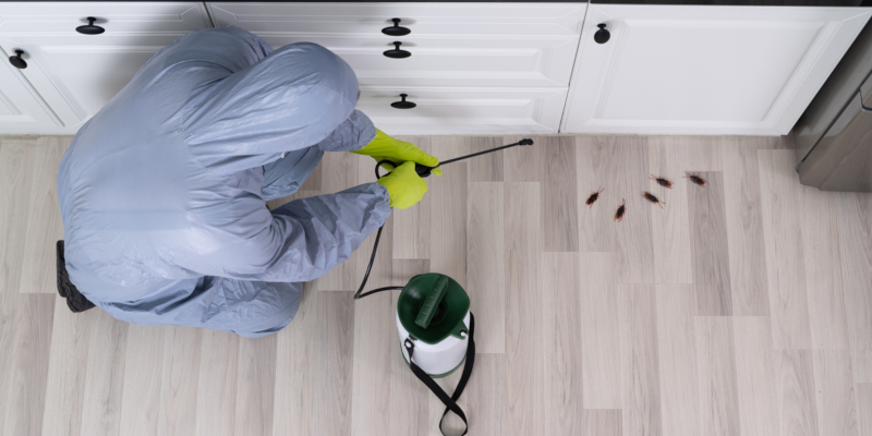 you want to hire a professional exterminator 