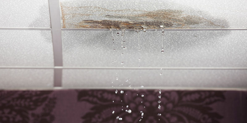 The Dangers of Not Paying for Water Damage Services