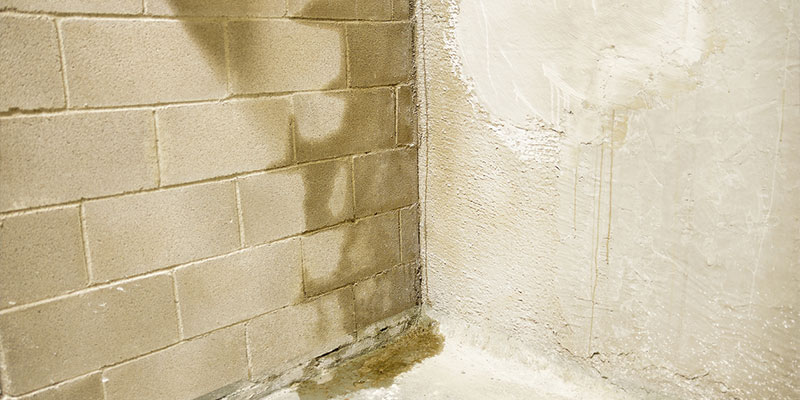 Signs that You Need Basement Waterproofing