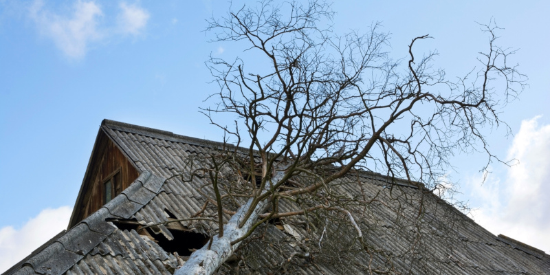 3 Benefits of Hiring a Storm Damage Restoration Company