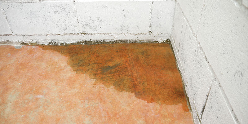 A Professional Waterproofing Company Can Help Fix Your Wet Basement 