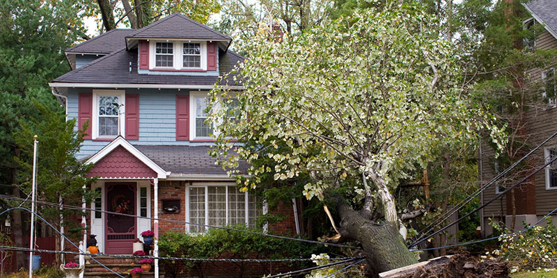 How to Begin the Process of Storm Damage Restoration