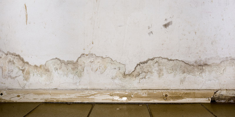 The Hidden Dangers of Unchecked Water Damage in Your Property