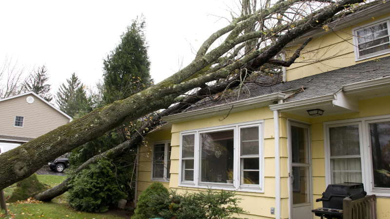 3 Reasons Why You Should Quickly Assess for Storm Damage