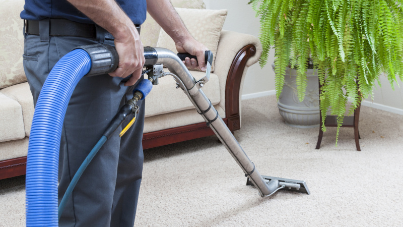 How to Improve Your Home’s Air Quality with Carpet Cleaning