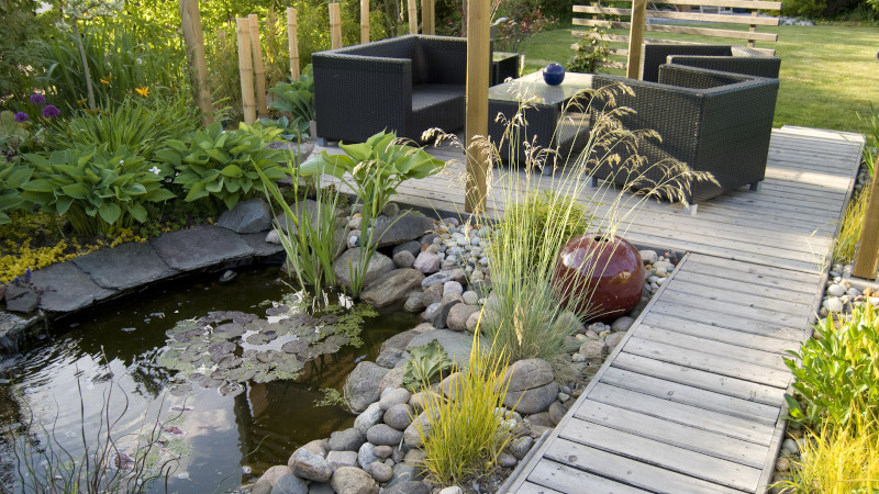 Before You Build a Pond: Questions to Ask Your Pond Contractor