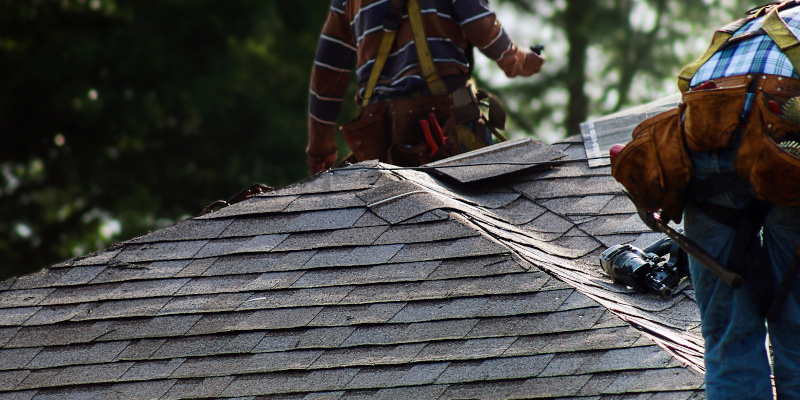 5 Different Roofing Services You Should Call a Roofer For