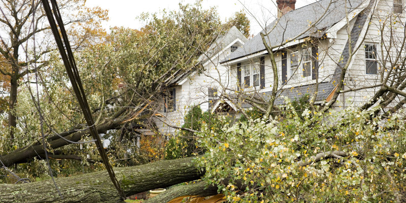 4 Ways You Can Help Prevent Storm Damage on Your Property