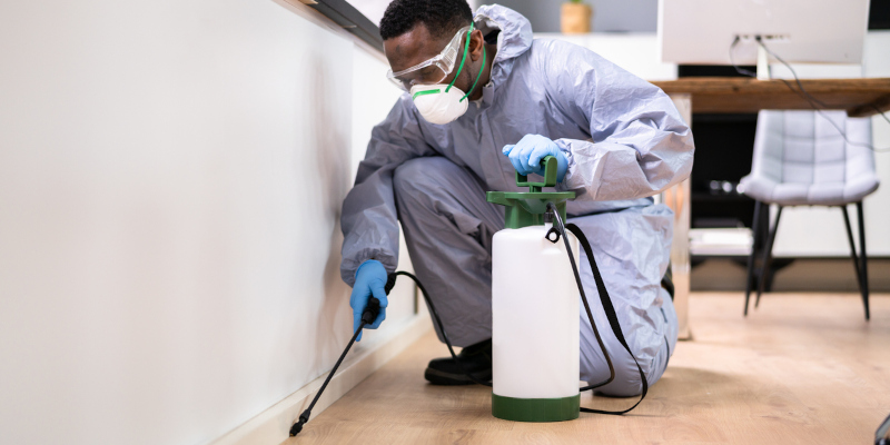 3 Simple Tips for Finding a Pest Control Company