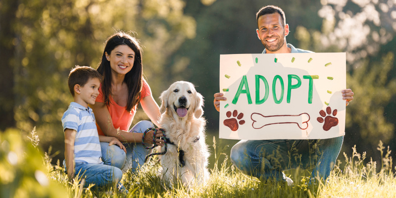 Great Reasons to Adopt a Dog from Your Local Shelter