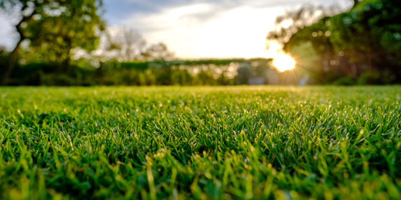 Lawn Care Tips That Will Leave Your Lawn Looking Its Best This Year