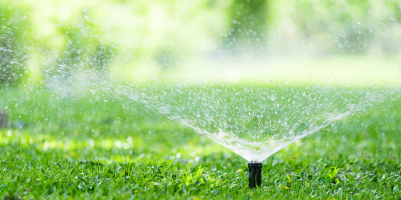 Lawn Irrigation – How to Know What Your Lawn Needs