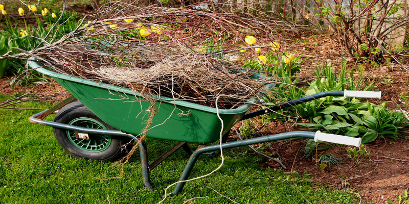 3 Benefits of Spring Yard Cleanup