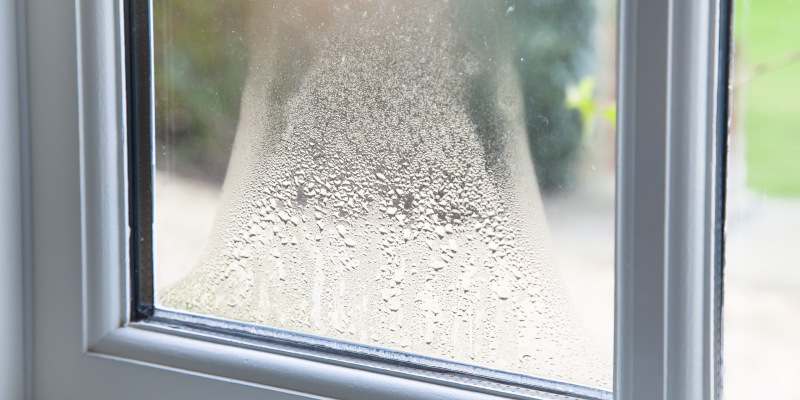 Beyond Faded Frames and Stuck Sashes: How to Tell You Need Replacement Windows