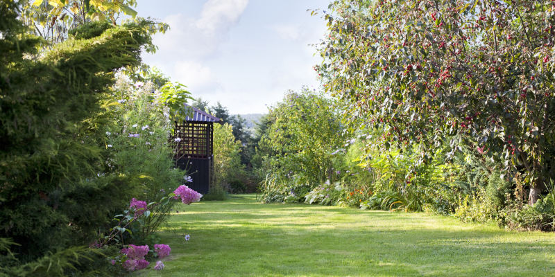 4 Ways to Improve Your Home's Natural Landscaping