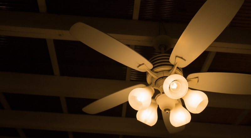 Why You Should Add Ceiling Fans to Your Home 