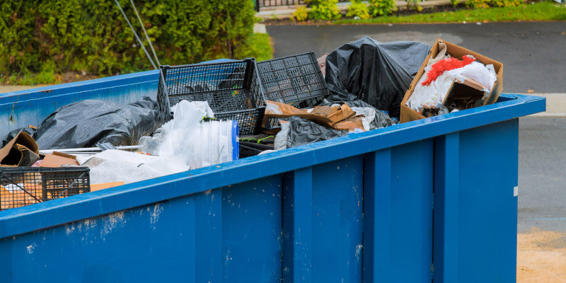 3 Times to Hire Professional Junk Removal Services