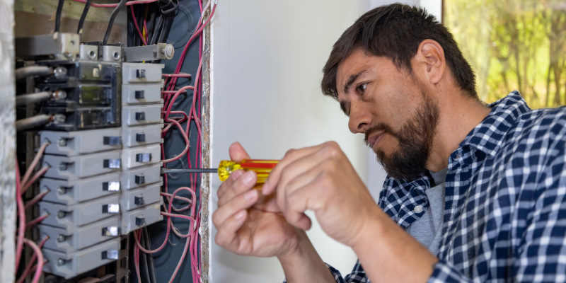 What Electrical Services You Might Need as a Homeowner